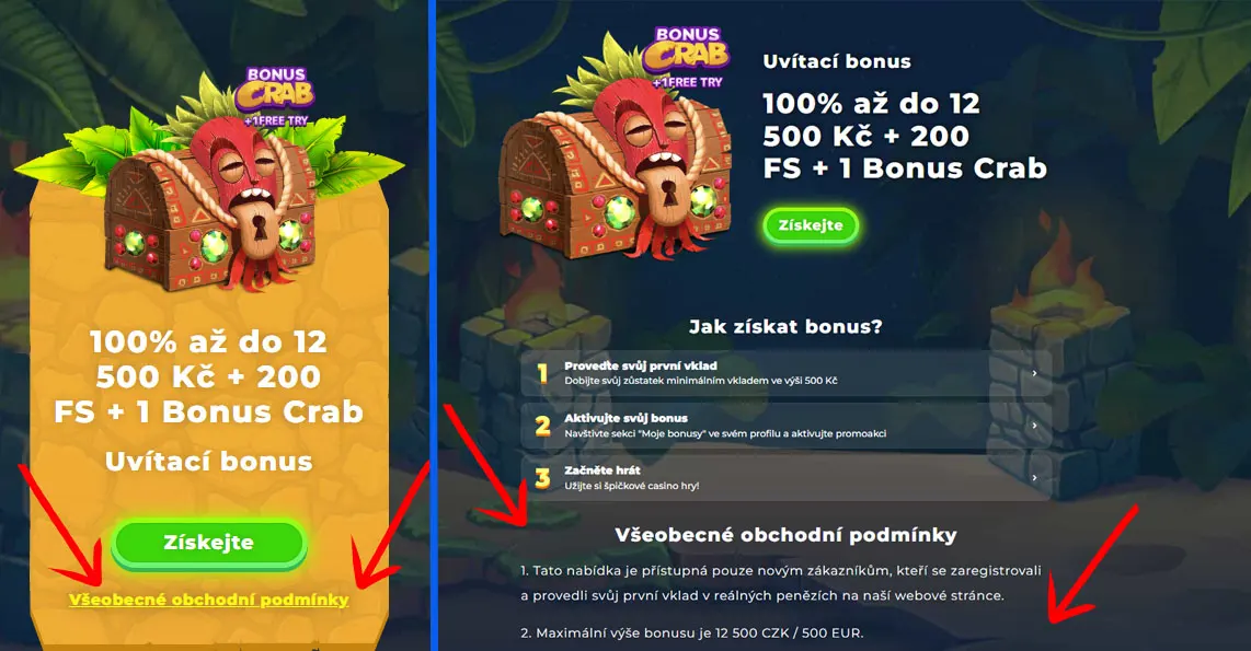 Zahraniční casino - Podmínky bonusu