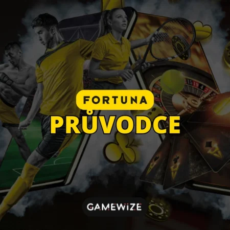 Fortuna Průvodce