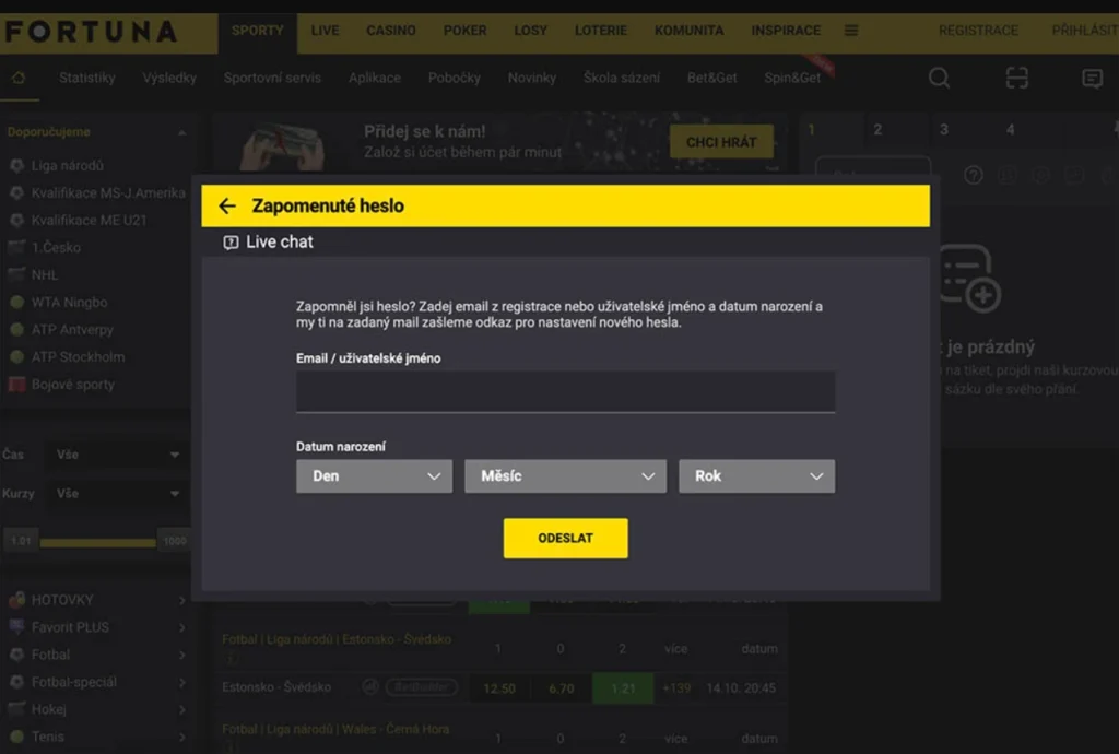 Zapomenuté heslo u Fortuny